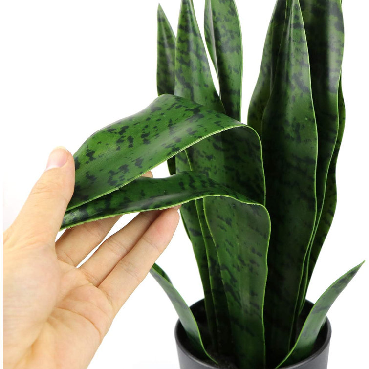 Primrue 16'' Faux Snake Plant Plant in Planter Wayfair